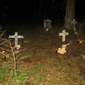 IMG 0148